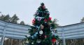 Ёлка из города Звенигово стала победительницей регионального этапа конкурса «Ёлки России».