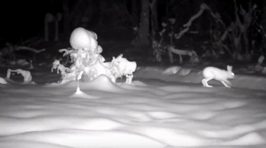 ����� �������� � ����� �� �������� ��������� ����� �� ��������� �����