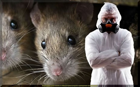 ��� �������� ������ ����� �� ��������