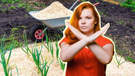 ��� ������ ������� ������� �� ���������� ������ ������� ��������: �������� ����� ������