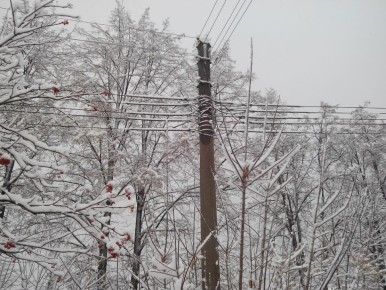 � ����������� ������ ����� �� 11 ��������� ������� �������� ��� �����