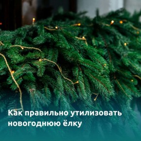 ��� ��������� ����������� ���������� ����: ������ � ������������