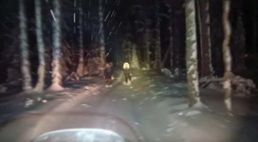 ������� 13 ������ ���������� ���� �������� ������� � �������, ������������� � ����� ������������� ������