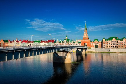 В Йошкар-Оле организован сбор новогодних деревьев для последующей переработки