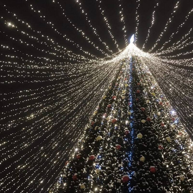 За праздничные дни Туристско-информационный центр посетило более 1800 человек