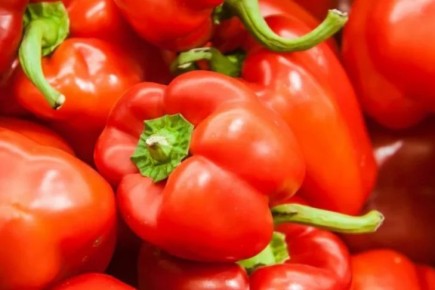 6 ������, ������ ����� �������� ������ � ���� ������