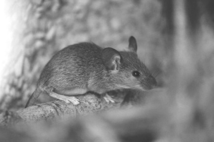 � 1 �� 12 ������ 2026 ���� � ���������� ����� �� ���������������� ��� ����� ������ ��������������� ��������� � �������� ���������