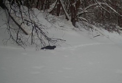 � ����� ���������� ��������� ������ ���������� ���� ����� ��������