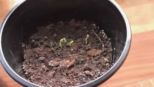 �� ����� �������� �����: ��� ��������� ��������� ������� ��� ������