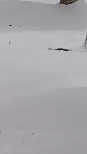 ����� ��������� �������� ������ ����� �������� � ������ ����� �.�. ������� � ���������� � ���� �����