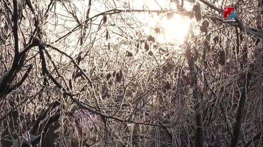 � ����� ������ � ����� �� �������� ����������!