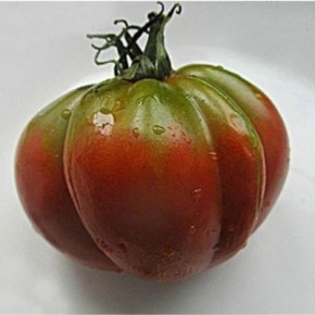 ����� ������ 68: ����������� �������� ����������� ����� ���������� ������ � ���������� �������