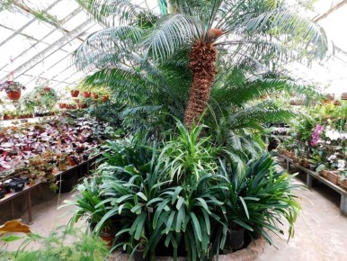 � ������-�������� ������������ ���� ������ ����� ����������� ����������� ��� ����������