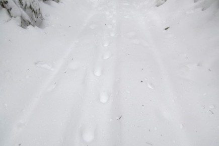 � ��������� ���� ������������� ������ ������