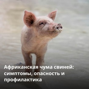 ��� � ���� �� ������������