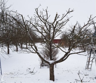 ������ ������ � ������ ����� ��� ������� �������� ��������?