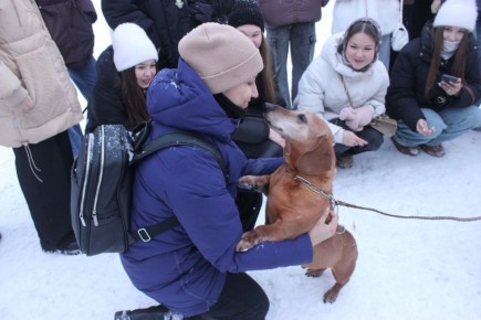 � ���������� ����� �� ����������� � ������������� �������������� � ������������� ����� ������������� ������-2026�