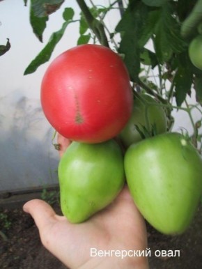 ����� ���������� ������: ��������� ����� ��� ��������� ������ ������