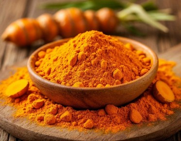 �������: ������, ������� ������ ������������� � �������� � �������