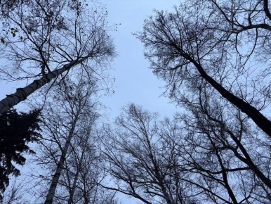 ������� ��������� ��������, �������� � ������ ���������� ����� ����� �� ������� ������� � ������� ��������� ��������� ��������� ������� ������ ������� ��������� ���������� � ��������������� �������������� � ������ � �������...