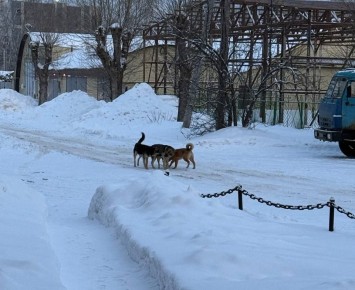 ����������� ���������������� ����� ��������� ����� � �������