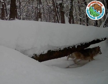 � ����������� ������� ������� ����������� ����������� ����� ������ ����, ��������������� ��� ������ ����� ��������