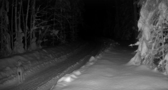 � ����� �� � ���������� ���� ����� ����������