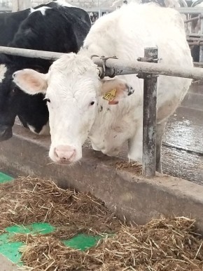 � ���� ���������� ����-���������� ������ ���� ���� ������� �������� ��������