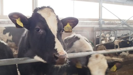 � ����� �� ������� ����������� �������� ��� ��� 500 �����