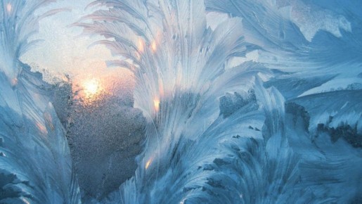 ��������� ������ ���� ��� ������� ����������� � ����� ��