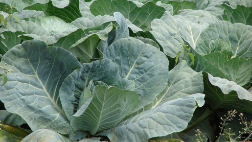 ��� ������� ������ ������� ������� ����� ��������� ��� ������