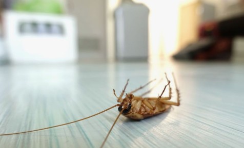 ��� �������� ������� ��������� ��� ���������: ��������� ������ ��� ��������