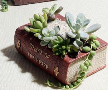 ���� ��������� ������� �� ������ �����, ������� ������� ��� � ���