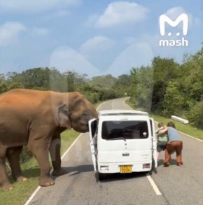 �� ���-����� �� ����� �� ������ ����� ����� ����