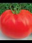 Томат Лев Толстой: крупноплодный гибрид для теплиц с непревзойденным вкусом