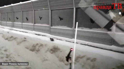 � ������������ ��������� ���� ����� �� ����������, ��� ����� � �����, ���������� � ������-���