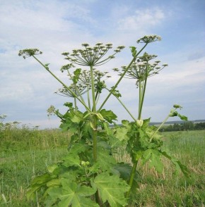 � ����� �� �������� ������� ����� ������ ��� ����������� � �������� ��������, ������� ������� ���� ����������� � �������� ��������