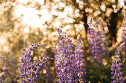 ���������� ������������� ���� ������-��� ���������� ��� �������� �� ����� ��, ������� ������ � ������� �����