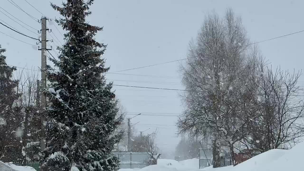 В связи с обильными снегопадами прокуратура города Йошкар-Олы внесла 11 представлений управляющим компаниям и подрядным организациям, отвечающим за уборку снега: надзорное ведомство требует приведения улично-дорожной сети и...