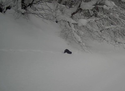 ����������� �������� ���������������� ���������� � ������� ������ ���������� ����� ������� ��������� ����� ����������� ��� ������ ������ ����������� �������� �������