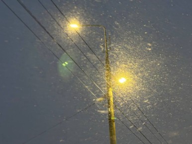 � ������� ����� 29 ������ � ����� �� ���������� ������� ����, ������ � ��������� ��������� ��� ������ 500 ������ � �����