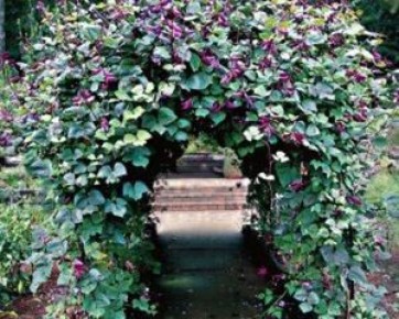 ������ ������ �� ����������� ����: ��� ��������� � ���������� �� �����