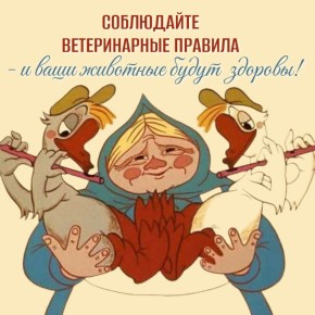 ����� ��������� �������� �������� � �����, ��������, ������� ������ ��������� ���������, ������� ��������� �����������-���������� ������� ��� ���������� � ���������� �������� � ����