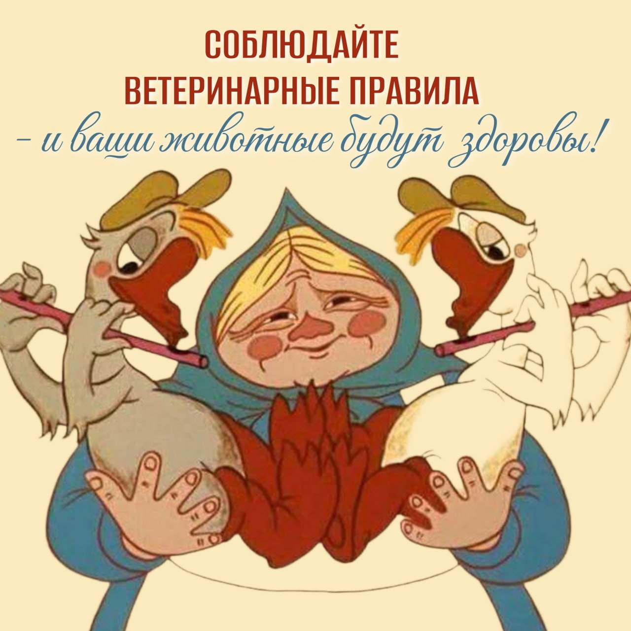 Чтобы сохранить здоровье питомцев и людей, граждане, ведущие личное подсобное хозяйство, обязаны соблюдать ветеринарно-санитарные правила при содержании и реализации животных и птиц