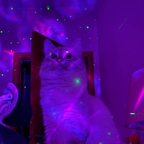 ���� ������!. ���������� �� ���� ������� ����������� � ������� ������