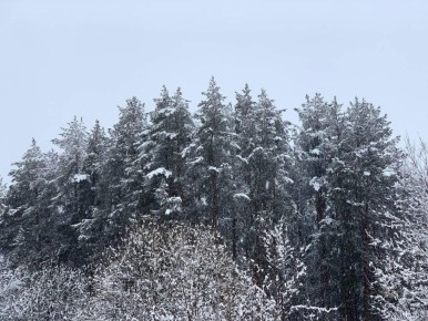 �� �������� ������� �������.������, ������� ��������� � ����� �� ����������� �� 1 ������� ������������