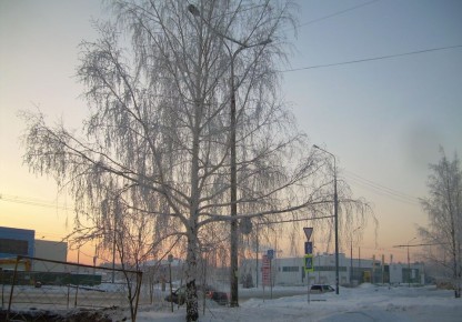 В Марий Эл возвращаются морозы