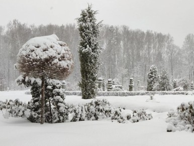 ������ ������-��� ������� ����������� ������