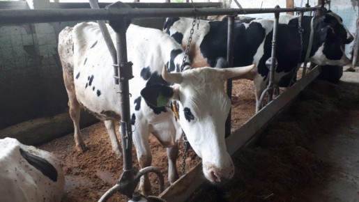 �� ������ 2025 ���� � ����� �� ���������� ���� ������������ ������ �� 3,1%