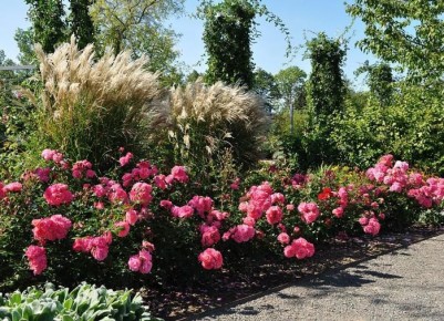 ��� ������� ����� � �������� ����: ������ �������� ��� ������� �����